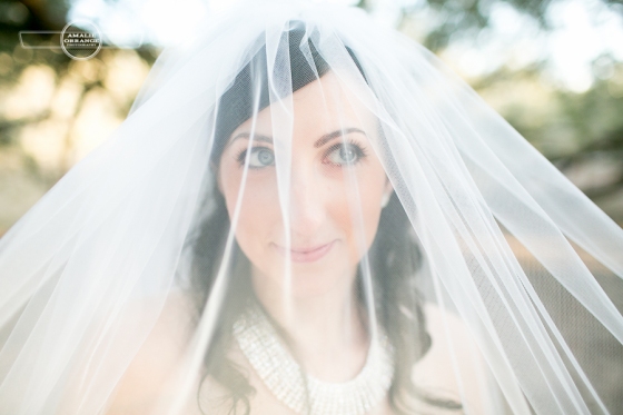 Bride under veil 