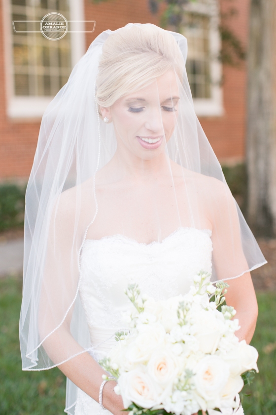 bride looking through veil 